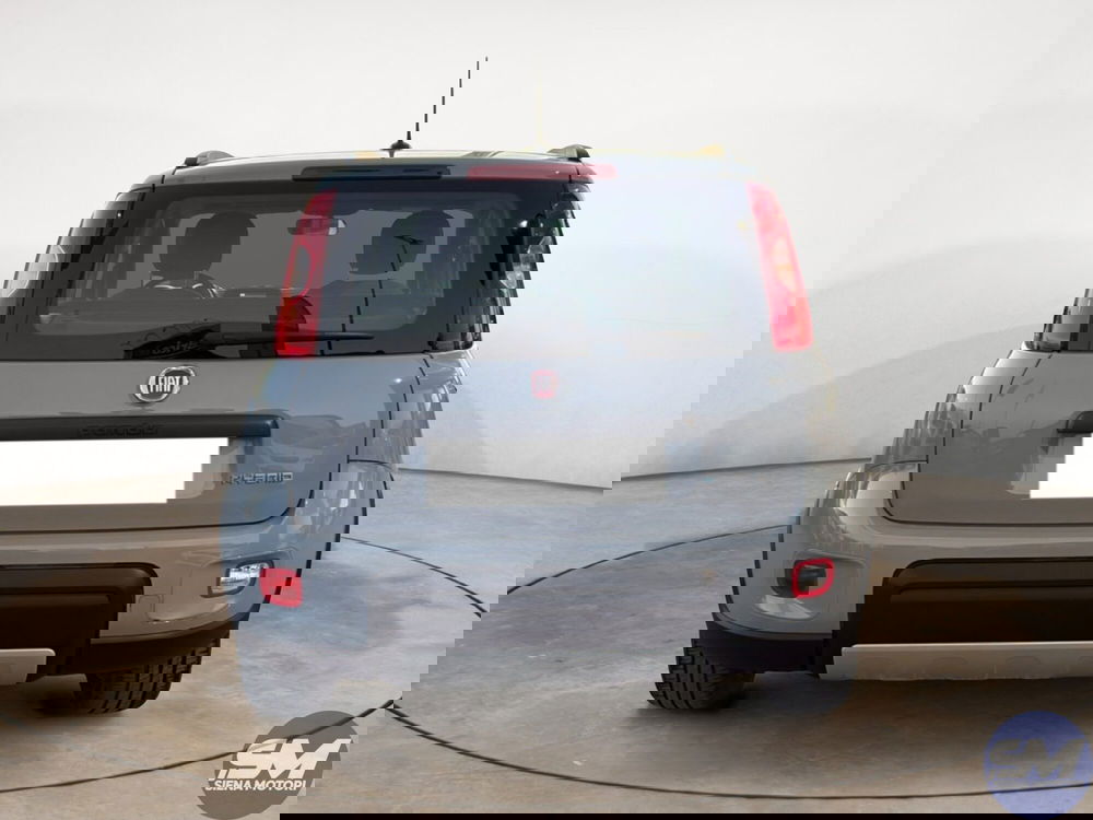 Fiat Panda Cross usata a Firenze (4)