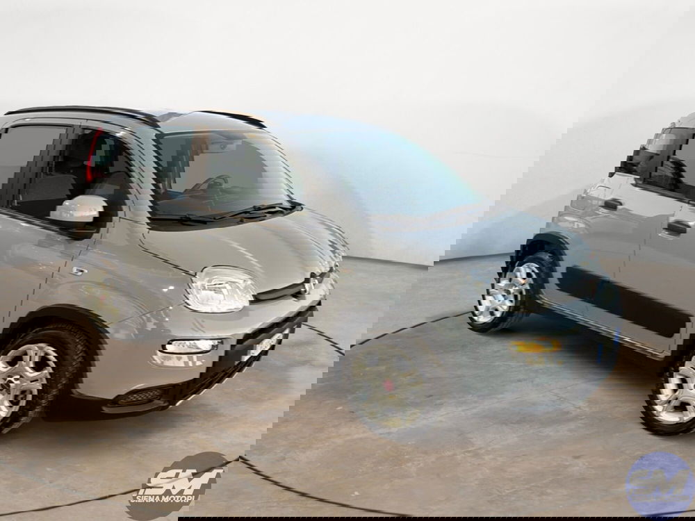 Fiat Panda Cross usata a Firenze (7)