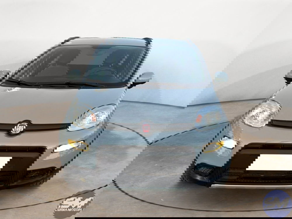 Fiat Panda Cross usata a Firenze (8)