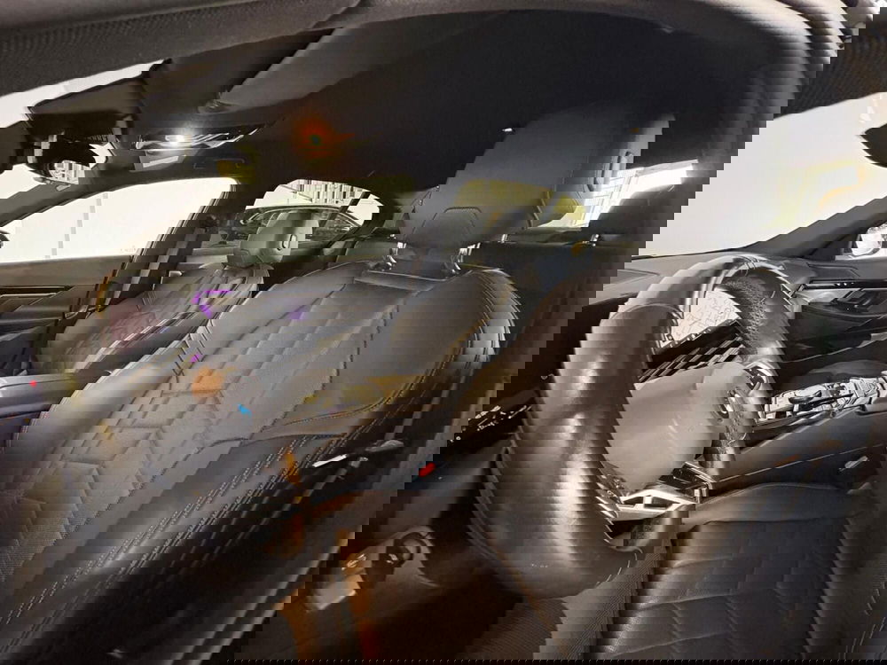 BMW Serie 5 usata a Monza e Brianza (14)