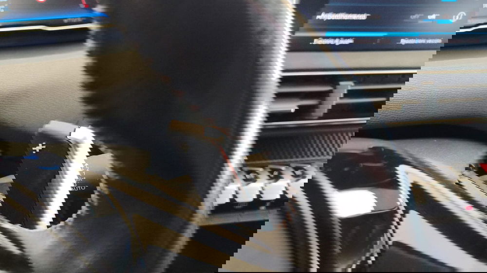 Peugeot 3008 usata a Firenze (20)