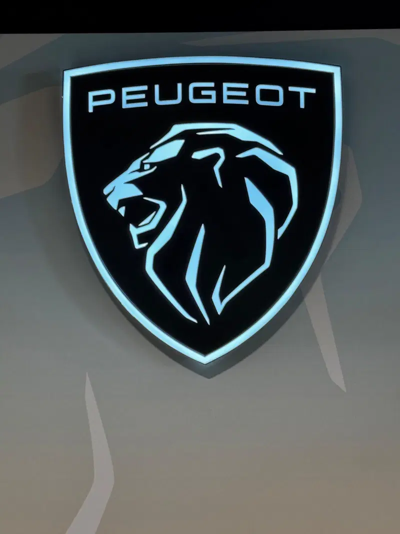 Peugeot 2008 nuova a Frosinone (19)