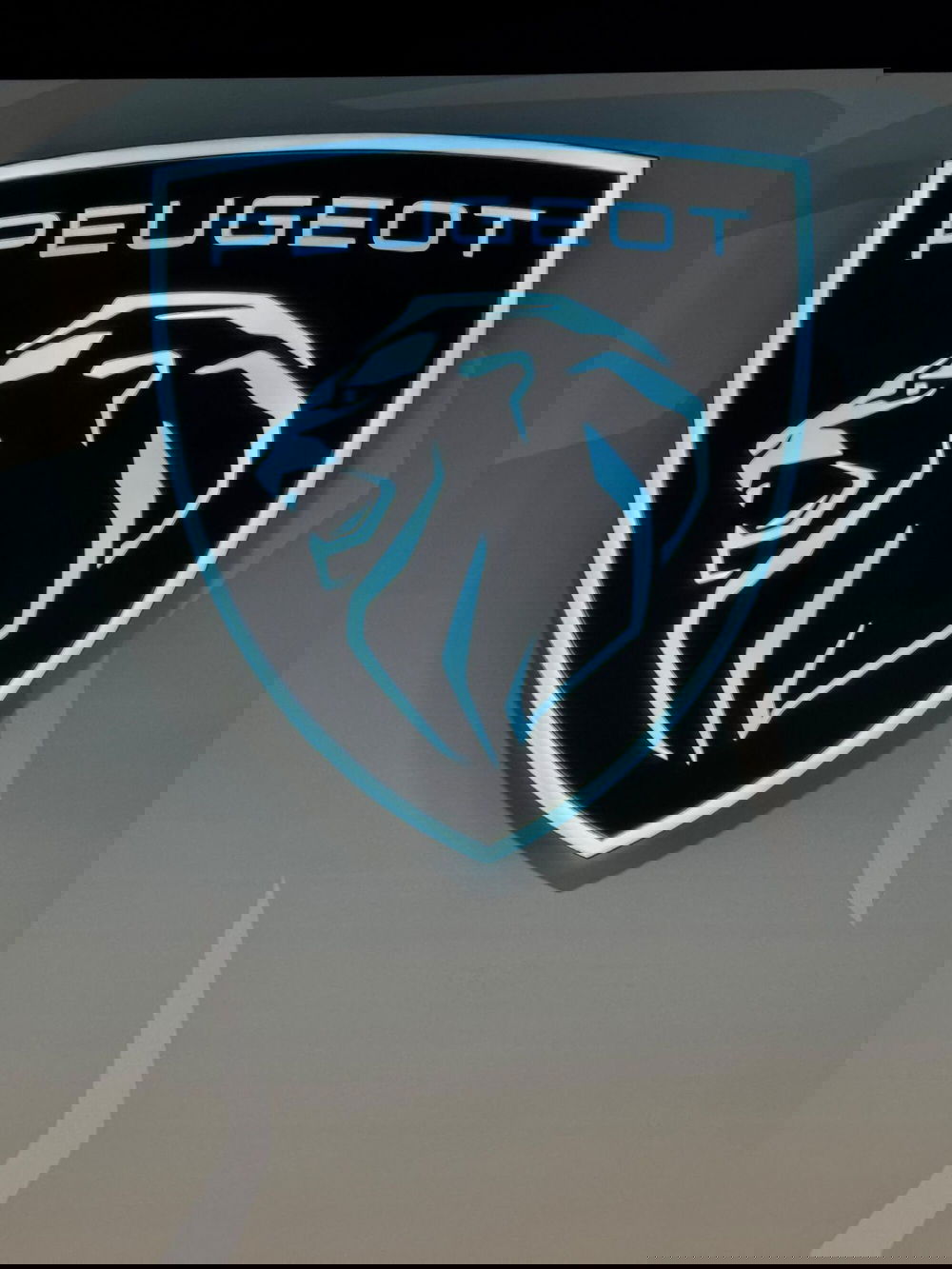 Peugeot 2008 nuova a Frosinone (19)