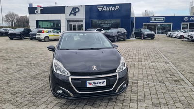 Peugeot 208 82 5 porte Active del 2017 usata a Lucca