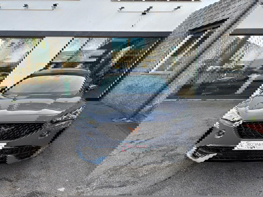 Cupra Formentor usata a Monza e Brianza (6)