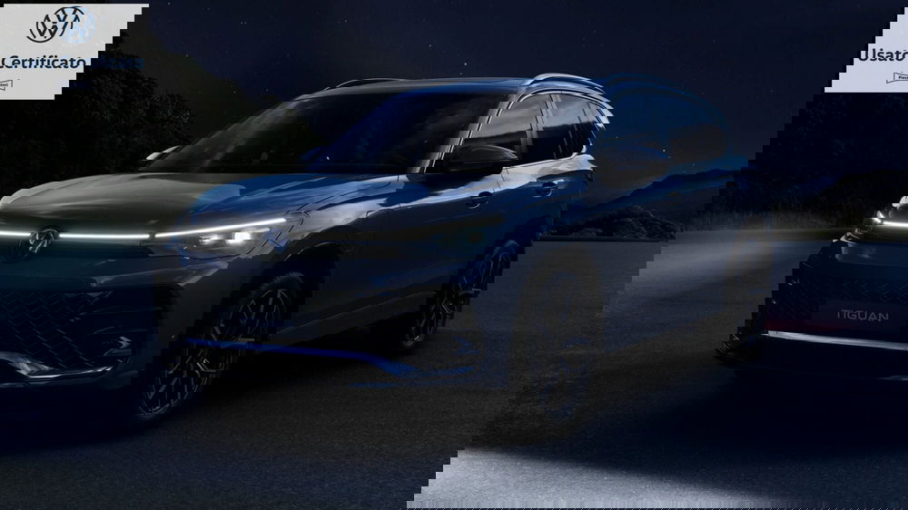 Volkswagen Tiguan usata a Genova (13)