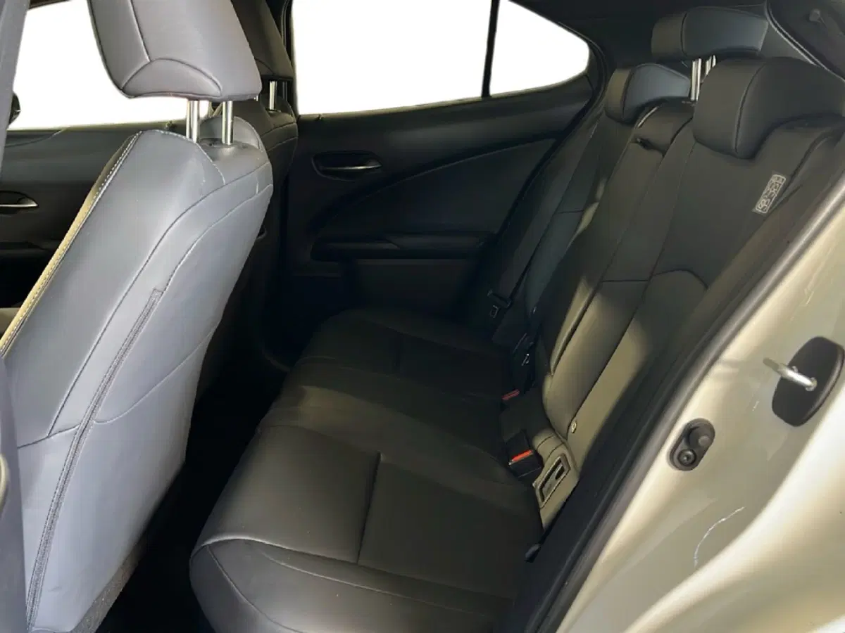 Lexus UX usata a Roma (11)
