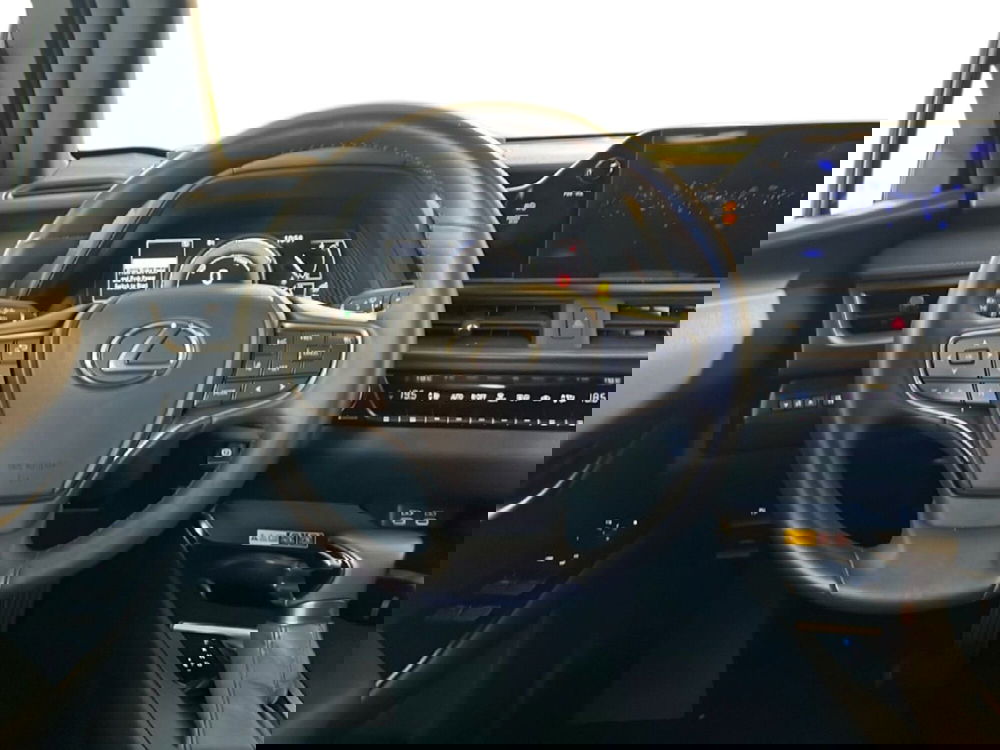 Lexus UX usata a Roma (12)