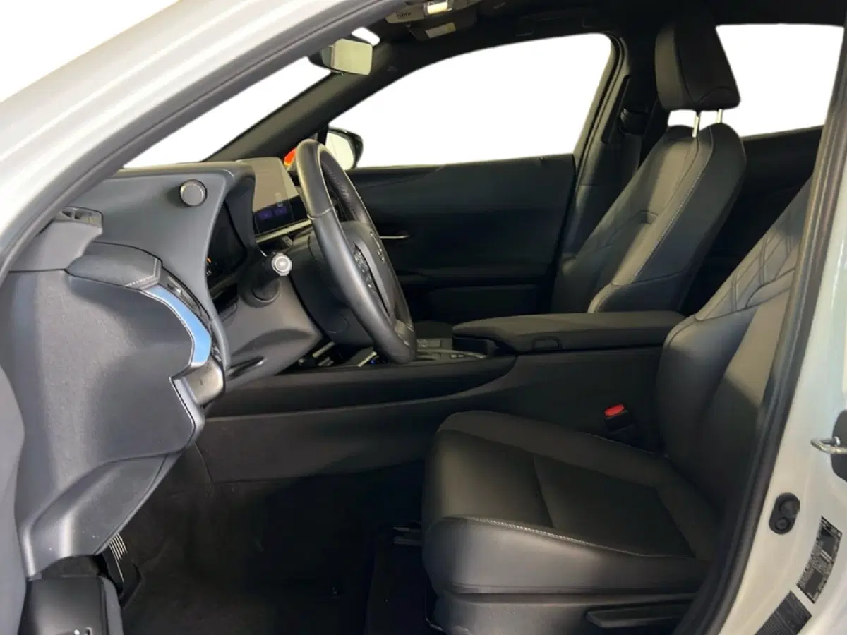 Lexus UX usata a Roma (14)