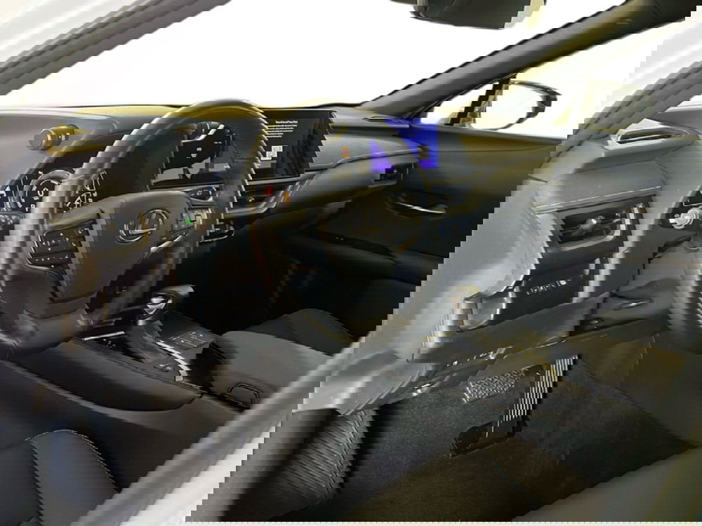 Lexus UX usata a Roma (15)