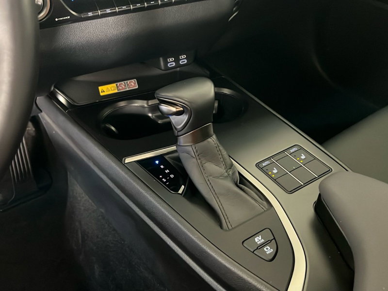 Lexus UX usata a Roma (18)