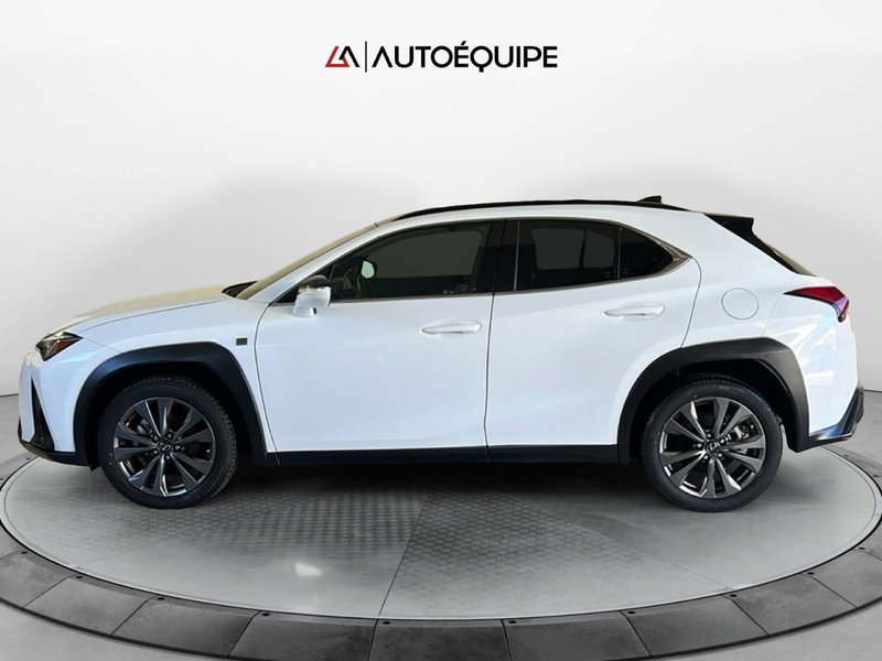 Lexus UX usata a Roma (2)