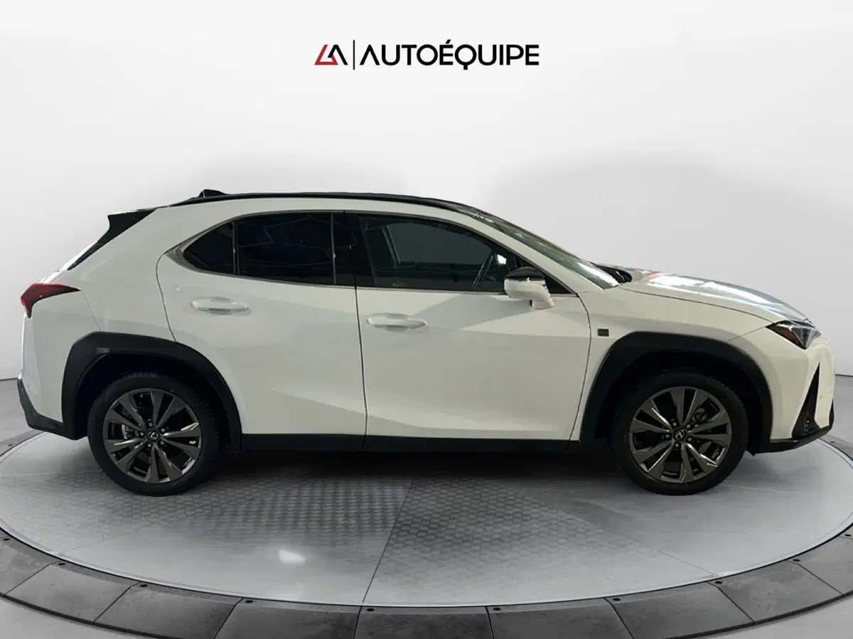 Lexus UX usata a Roma (6)