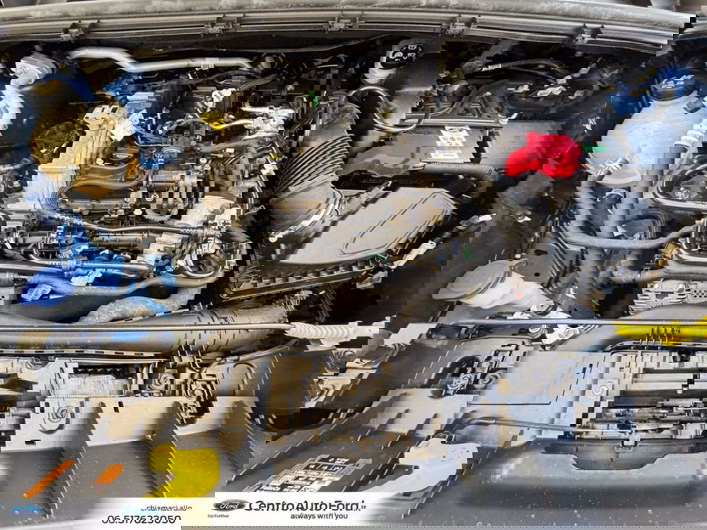 Ford Puma usata a Roma (12)