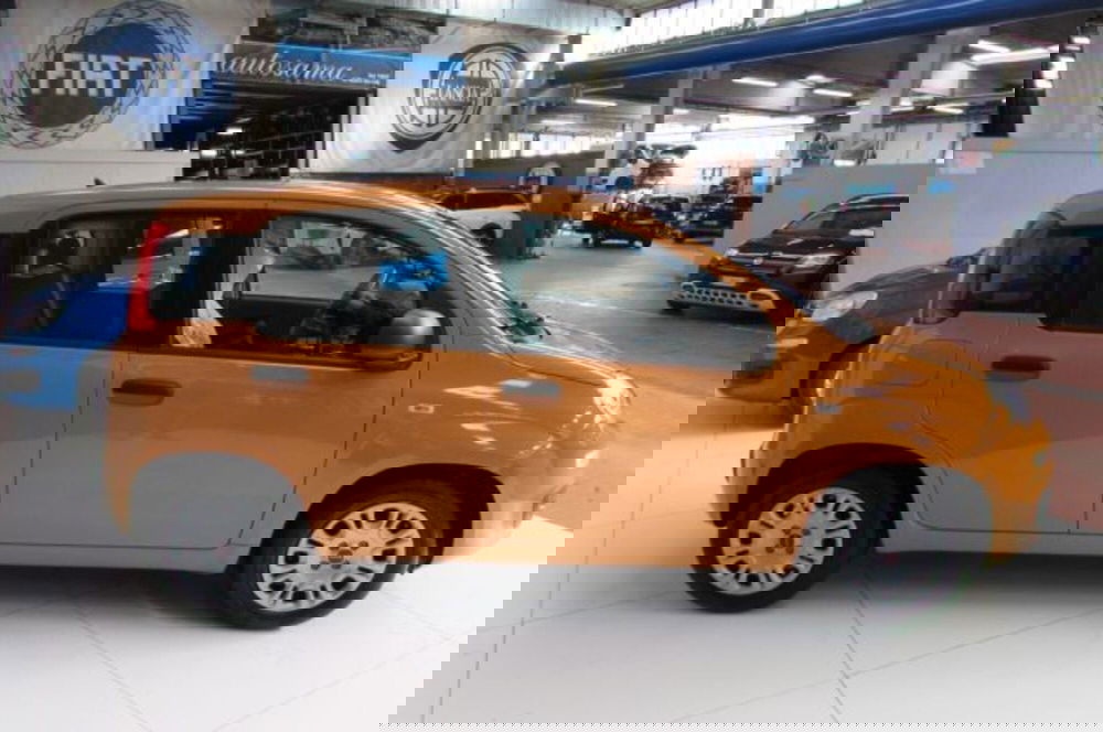 Fiat Panda usata a Milano (2)