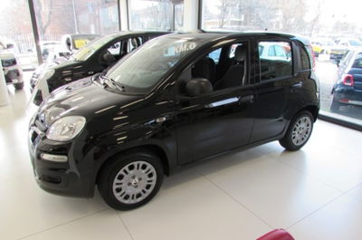 Fiat Panda 1.0 firefly hybrid s&amp;s 70cv 5p.ti nuova a Rho