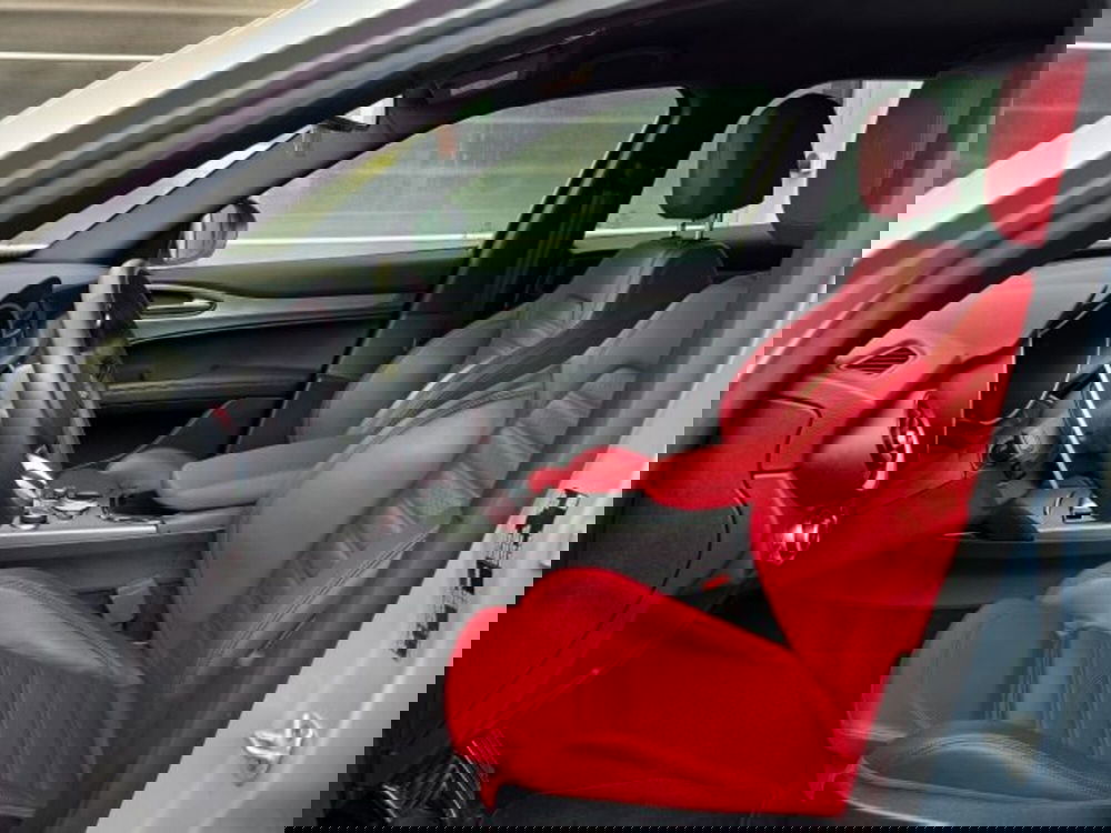Alfa Romeo Stelvio usata a Monza e Brianza (11)