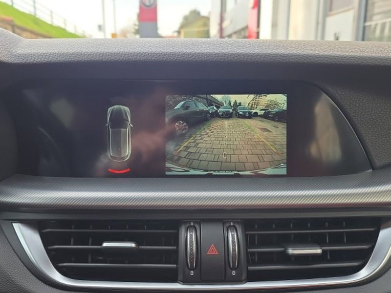 Alfa Romeo Stelvio usata a Monza e Brianza (17)