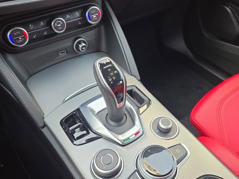 Alfa Romeo Stelvio usata a Monza e Brianza (18)