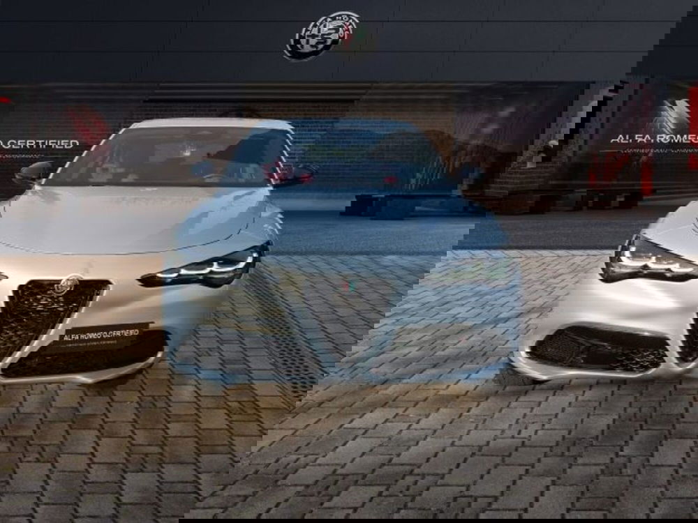 Alfa Romeo Stelvio usata a Monza e Brianza (2)