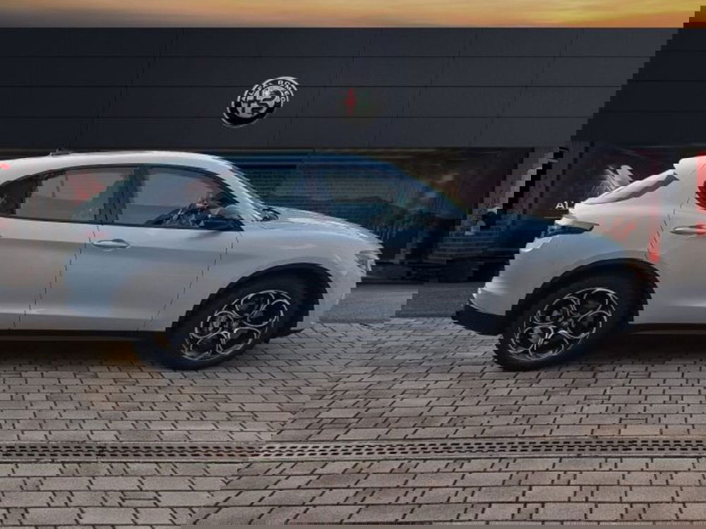 Alfa Romeo Stelvio usata a Monza e Brianza (4)