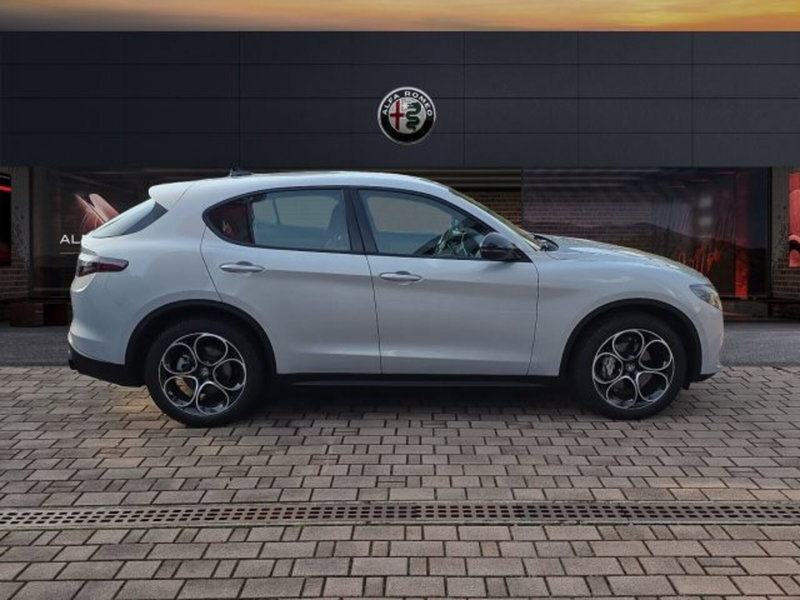 Alfa Romeo Stelvio usata a Monza e Brianza (4)