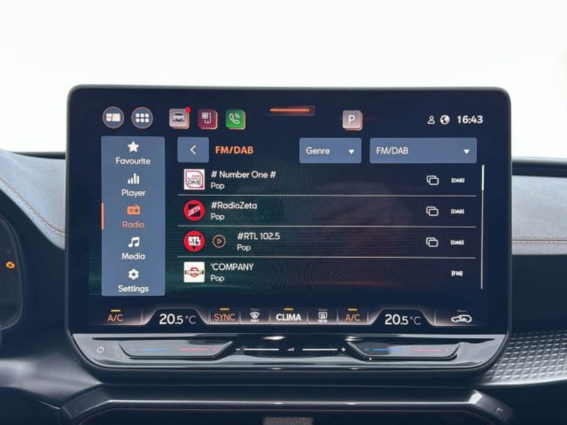 Cupra Leon usata a Vicenza (15)