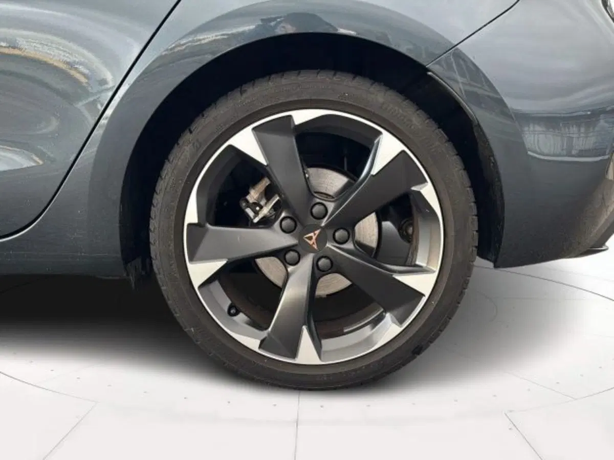Cupra Leon usata a Vicenza (7)