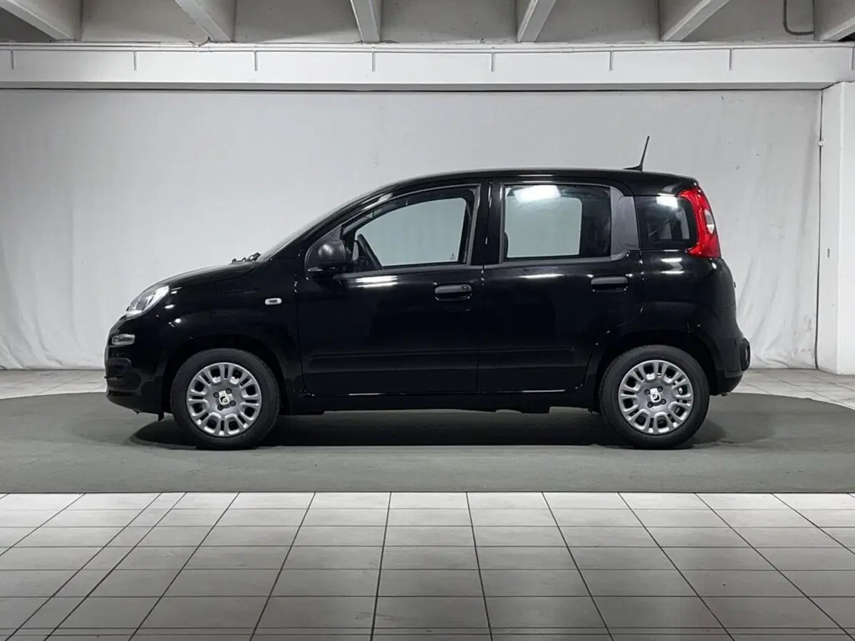 Fiat Pandina nuova a Sondrio (2)