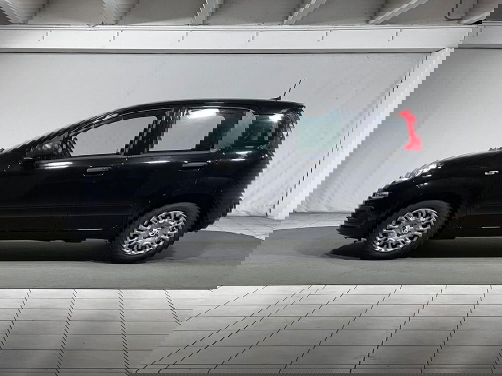 Fiat Pandina nuova a Sondrio (2)