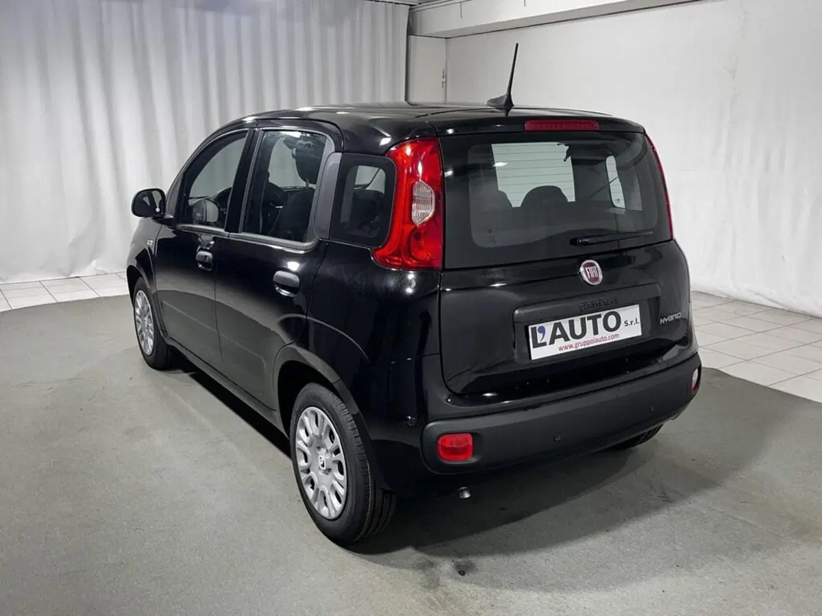 Fiat Pandina nuova a Sondrio (3)