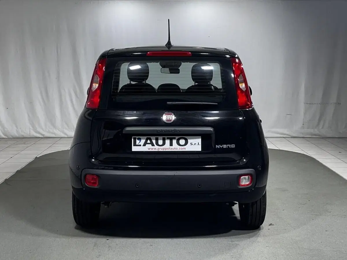Fiat Pandina nuova a Sondrio (4)