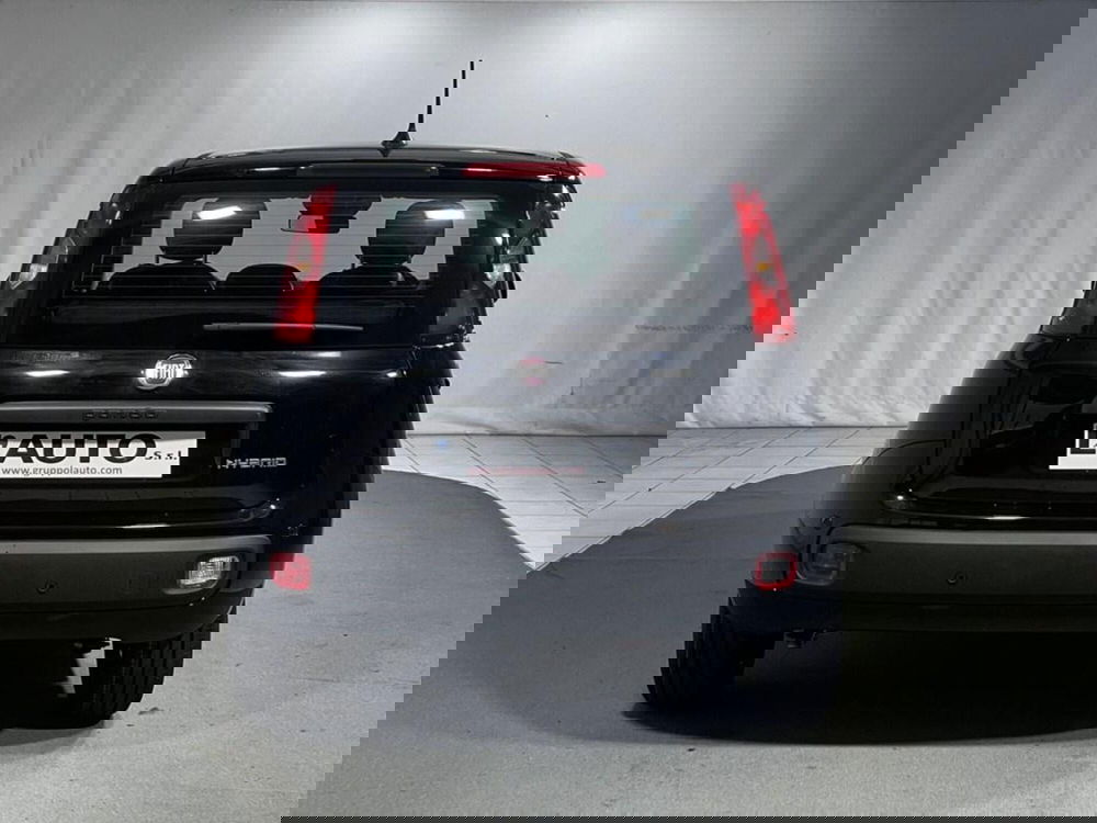 Fiat Pandina nuova a Sondrio (4)