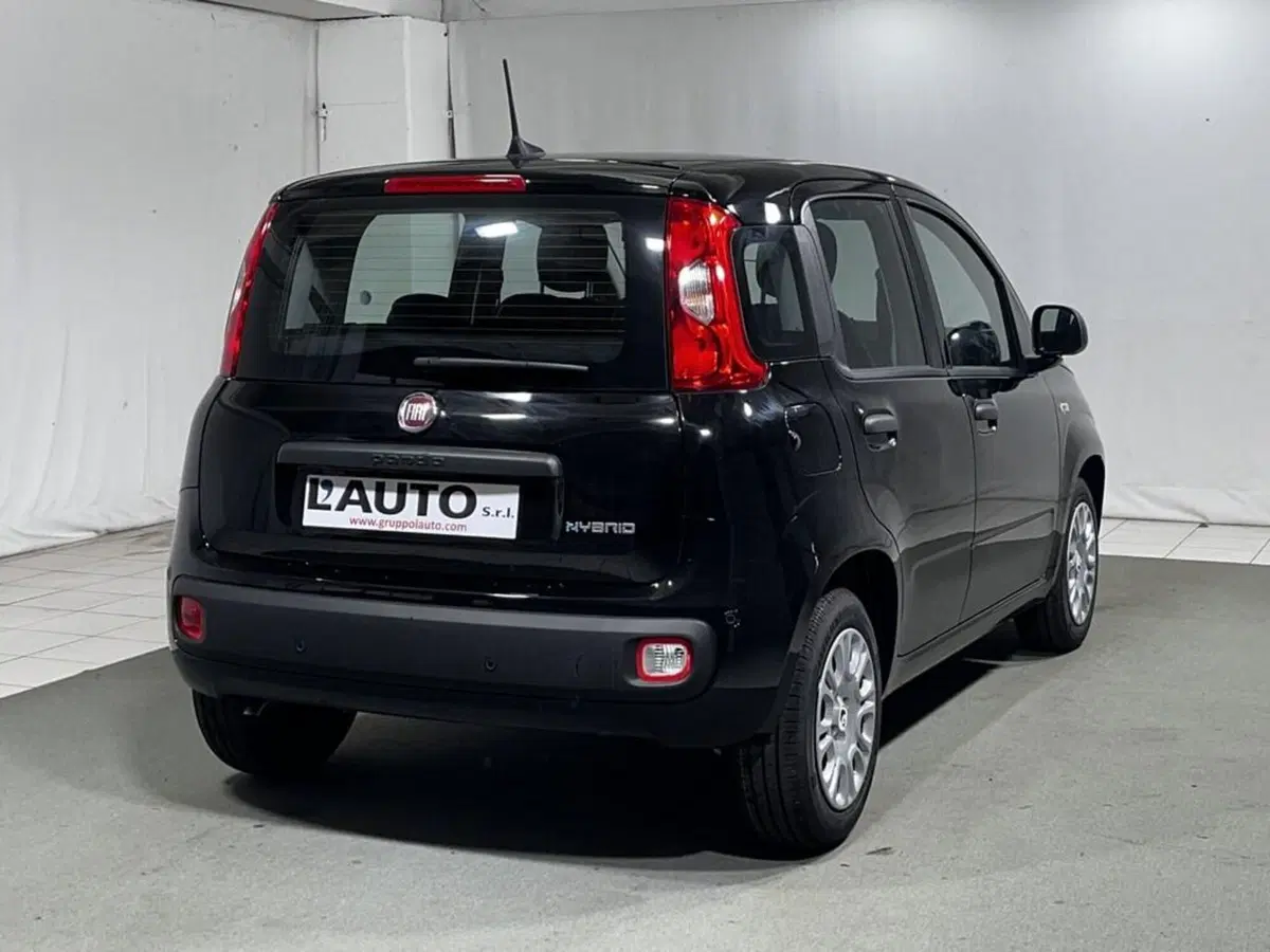 Fiat Pandina nuova a Sondrio (5)