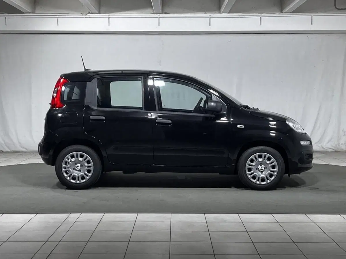 Fiat Pandina nuova a Sondrio (6)