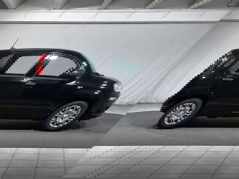 Fiat Pandina nuova a Sondrio (6)