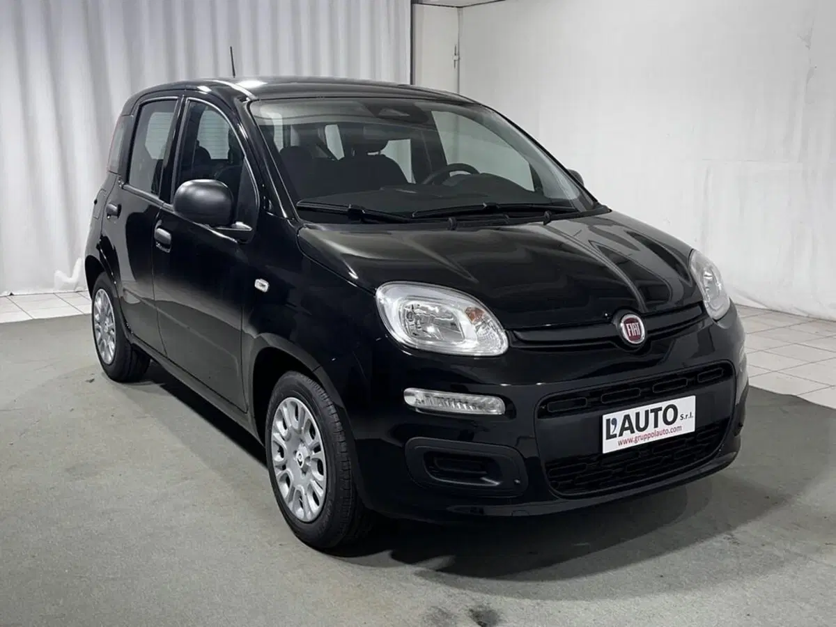 Fiat Pandina nuova a Sondrio (7)