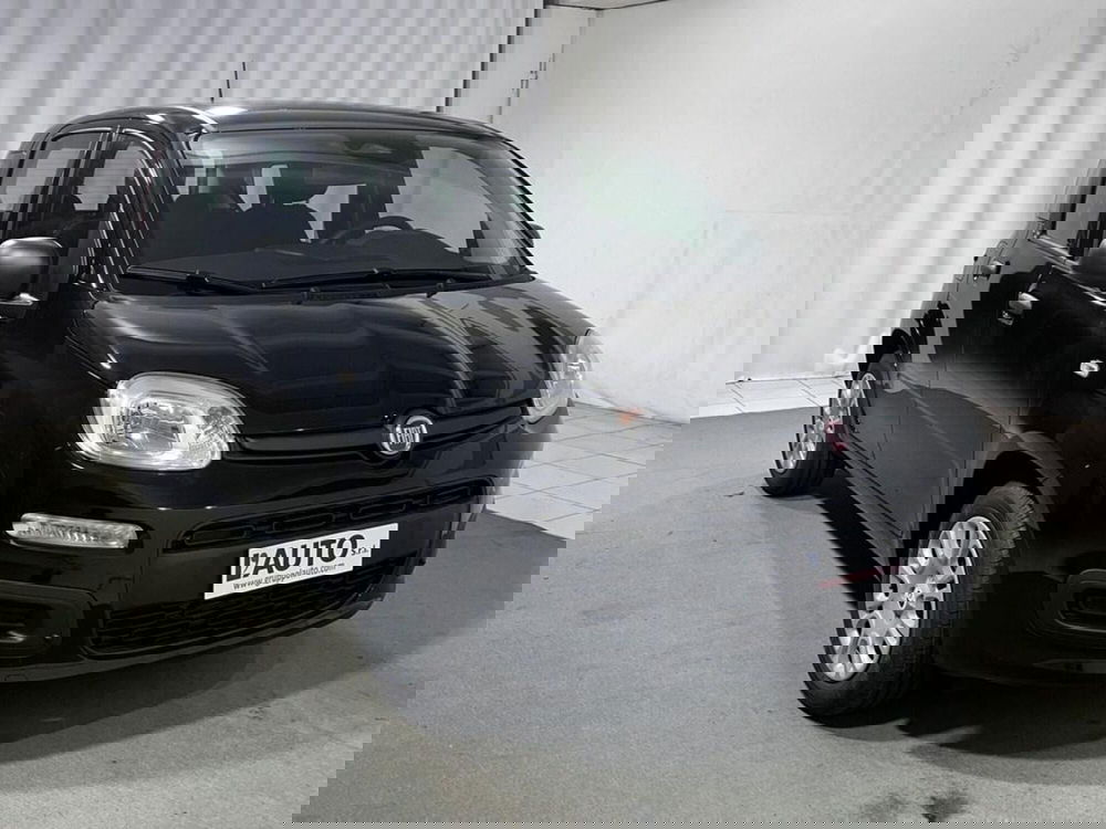 Fiat Pandina nuova a Sondrio (7)