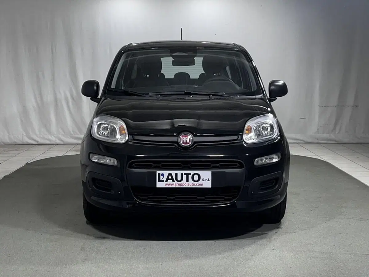 Fiat Pandina nuova a Sondrio (8)
