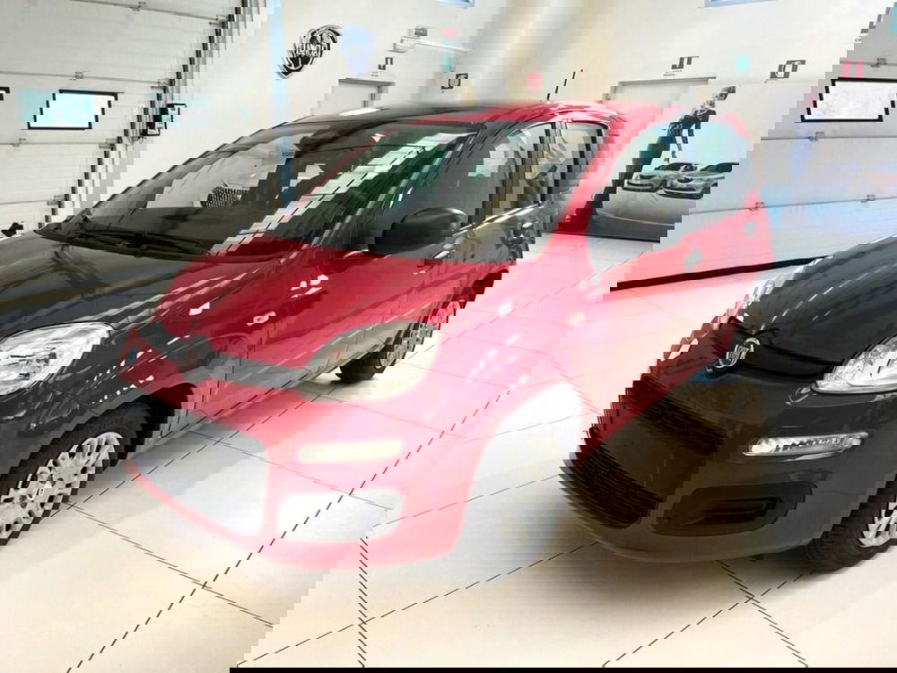 Fiat Pandina nuova a Sondrio