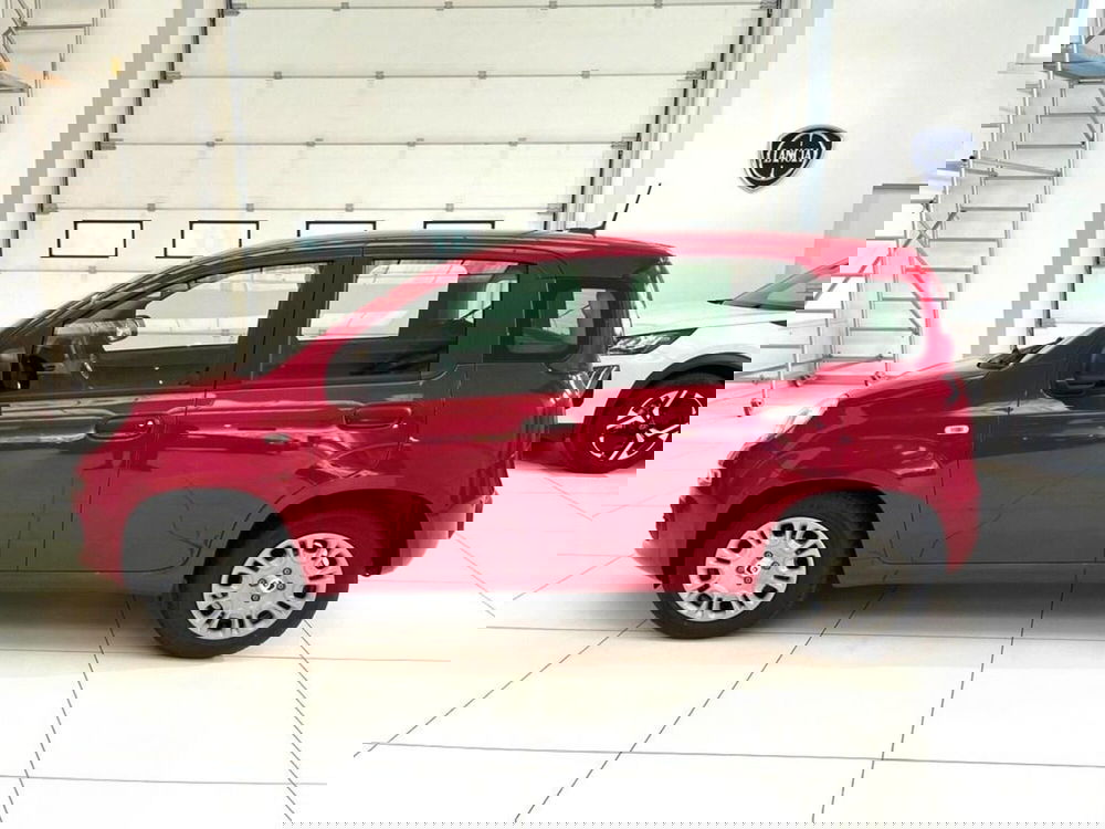 Fiat Pandina nuova a Sondrio (2)