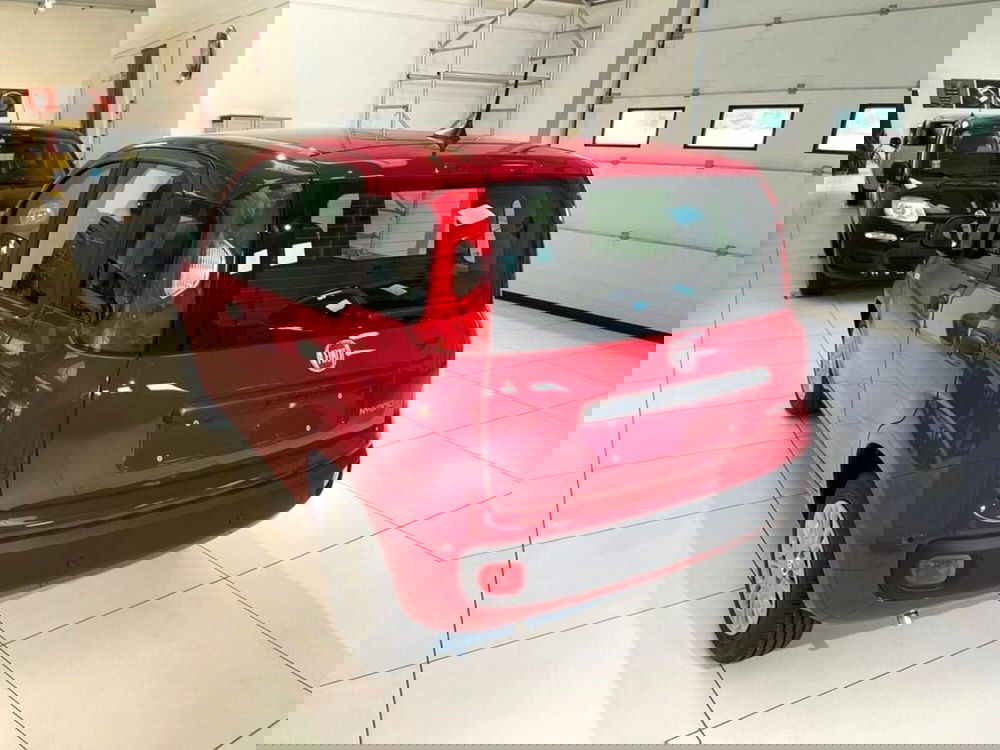 Fiat Pandina nuova a Sondrio (3)