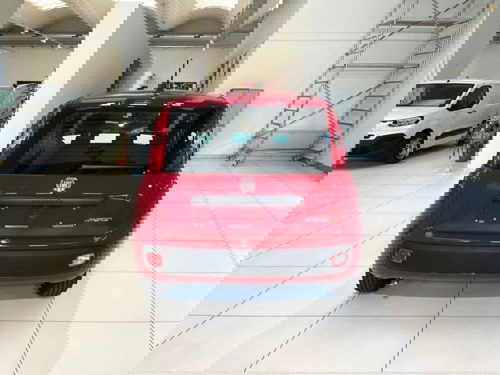 Fiat Pandina nuova a Sondrio (4)