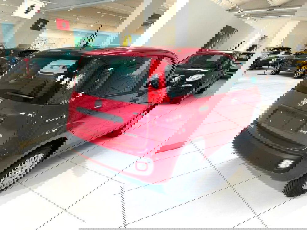 Fiat Pandina nuova a Sondrio (5)