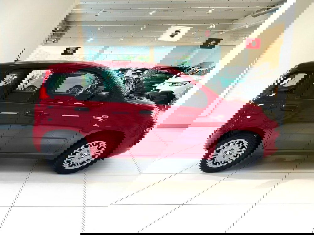 Fiat Pandina nuova a Sondrio (6)