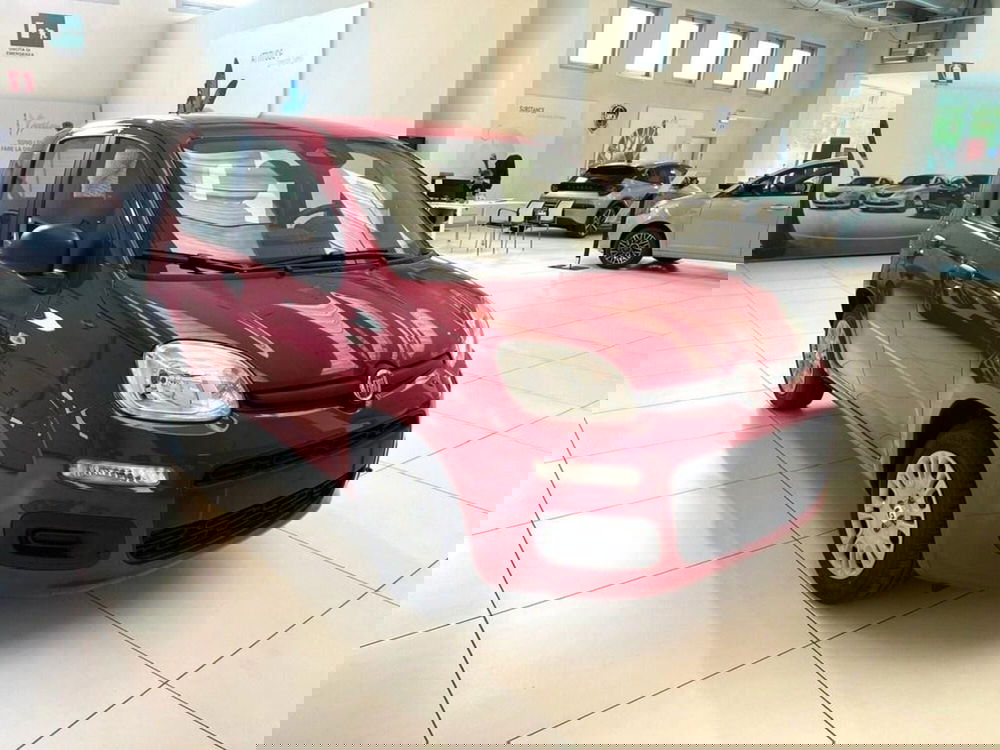 Fiat Pandina nuova a Sondrio (7)