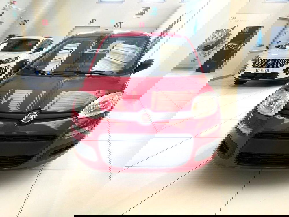 Fiat Pandina nuova a Sondrio (8)