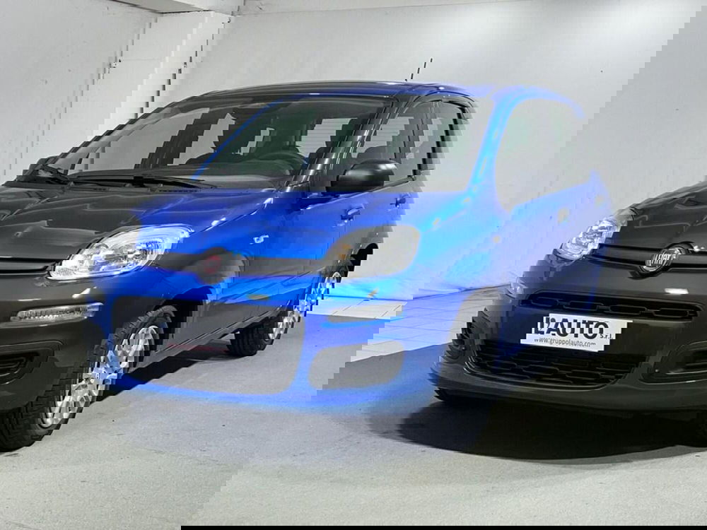 Fiat Pandina nuova a Sondrio