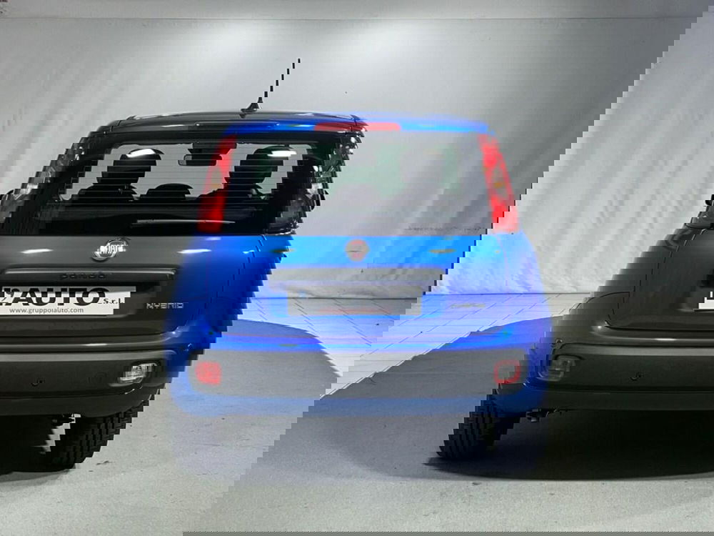 Fiat Pandina nuova a Sondrio (4)