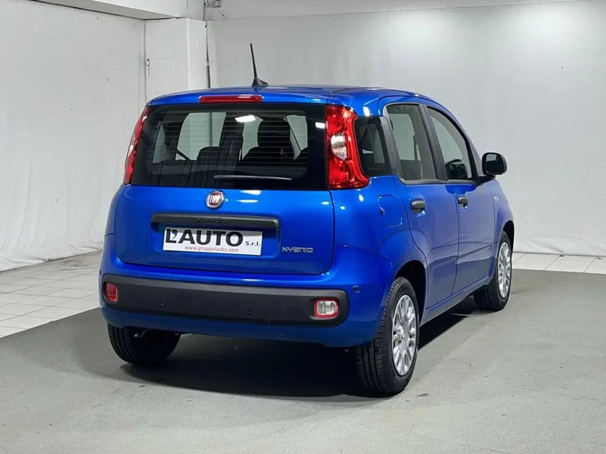 Fiat Pandina nuova a Sondrio (5)